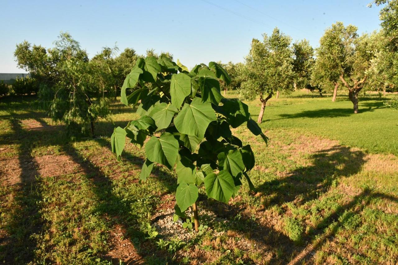 Tenuta Corano Нардо Экстерьер фото