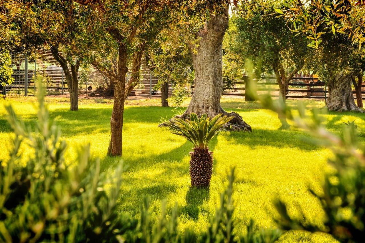 Tenuta Corano Нардо Экстерьер фото